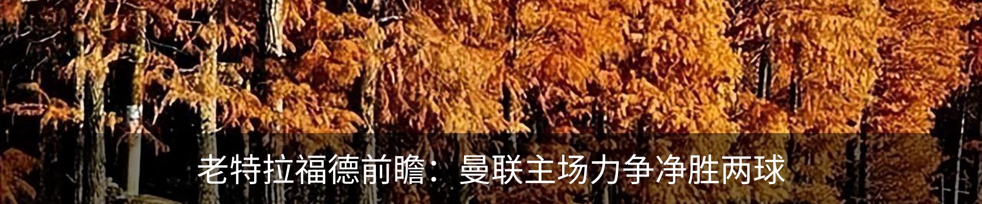 新闻动态