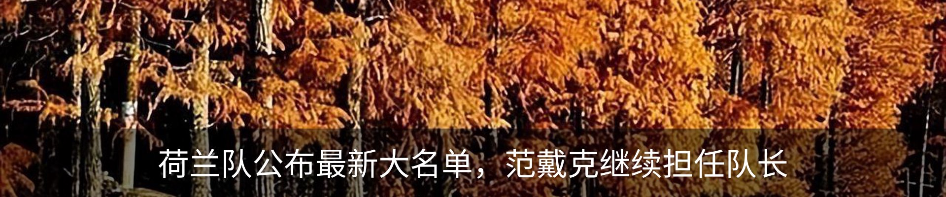 新闻动态