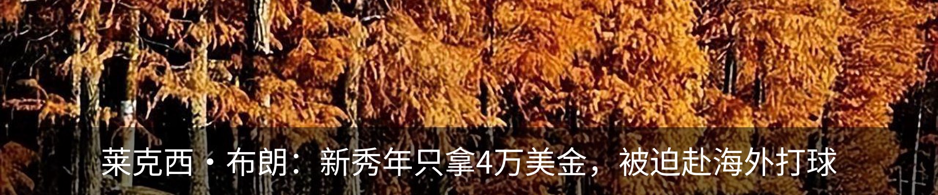 新闻动态
