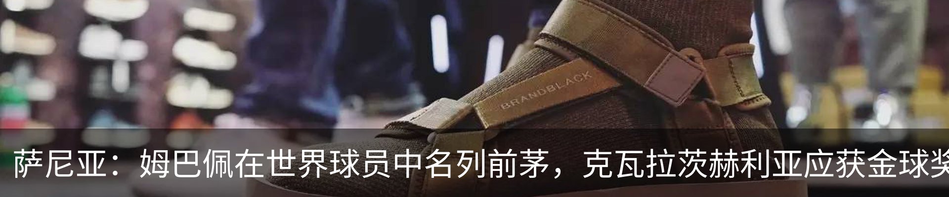 新闻动态