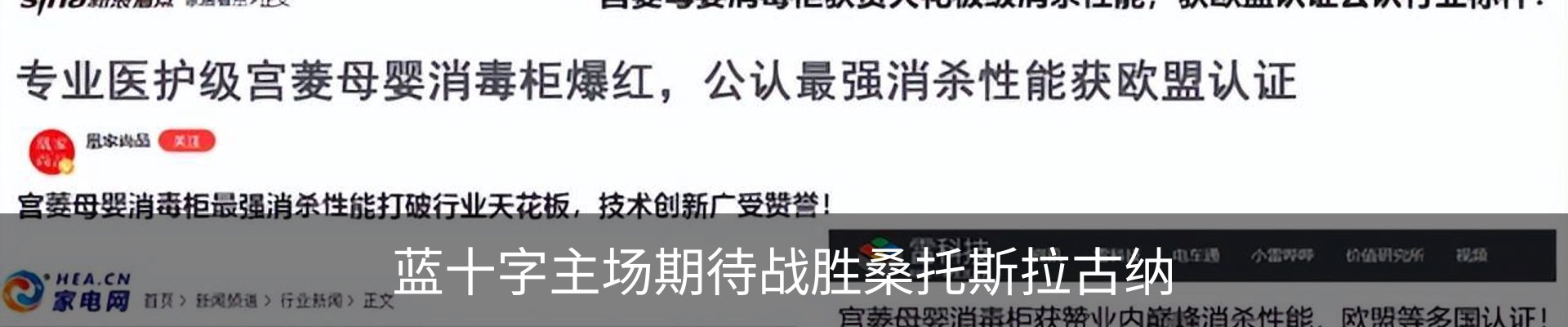 新闻动态