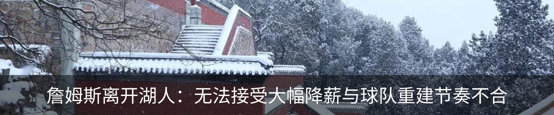 新闻动态
