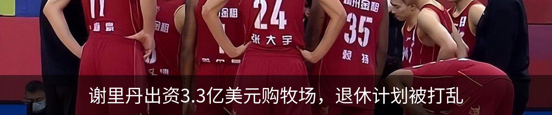 新闻动态