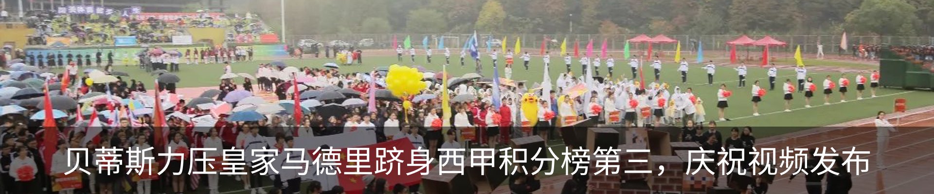 新闻动态