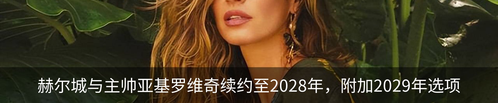 新闻动态