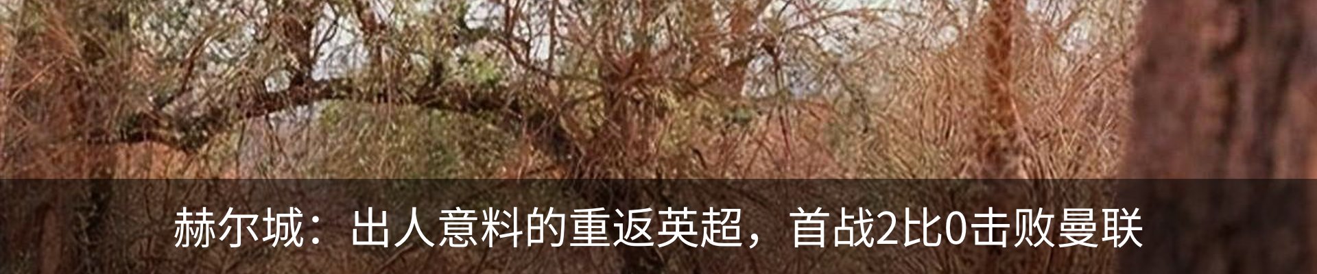 新闻动态