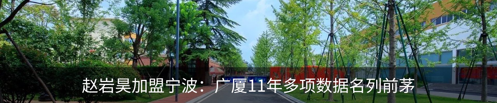 新闻动态