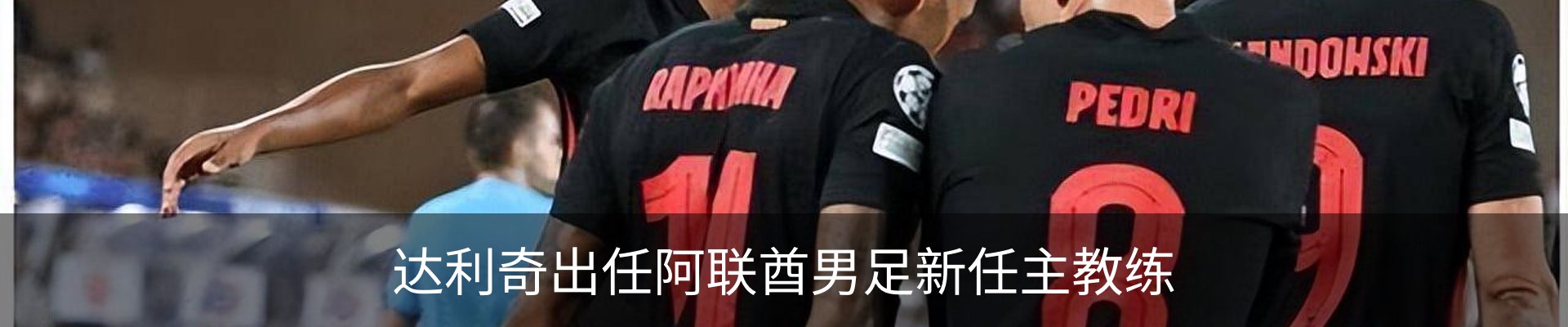 新闻动态
