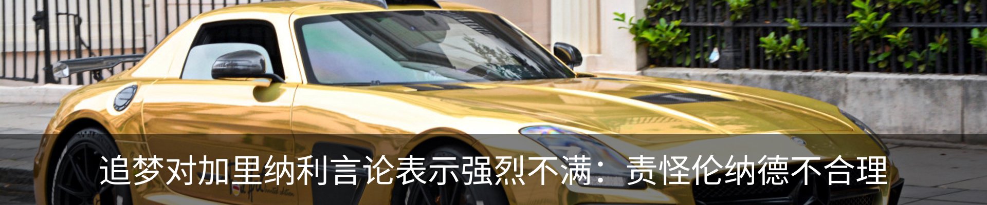 新闻动态