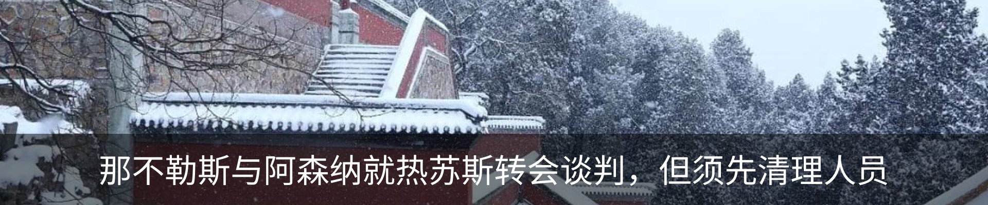 新闻动态