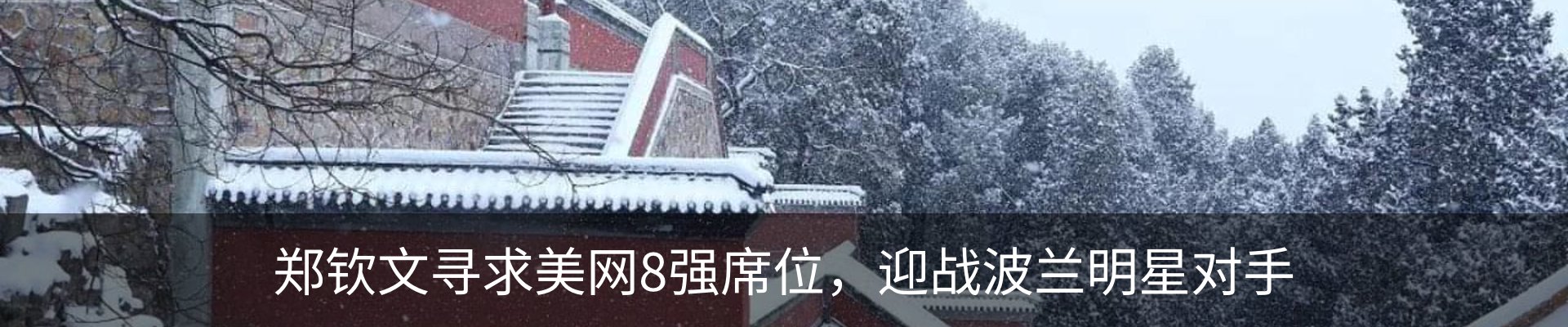 新闻动态