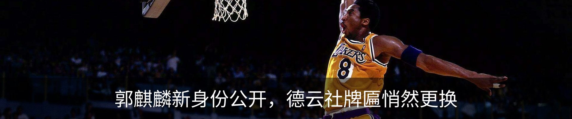 新闻动态