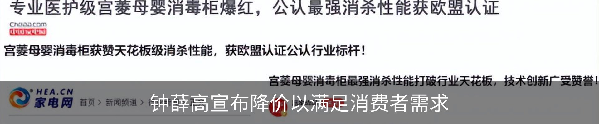 新闻动态