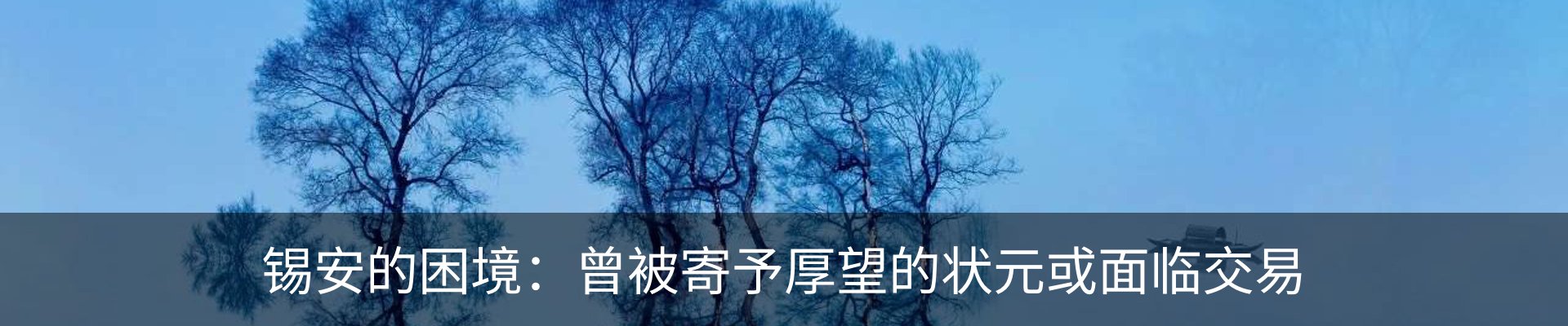 新闻动态