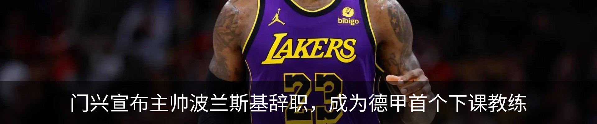 新闻动态
