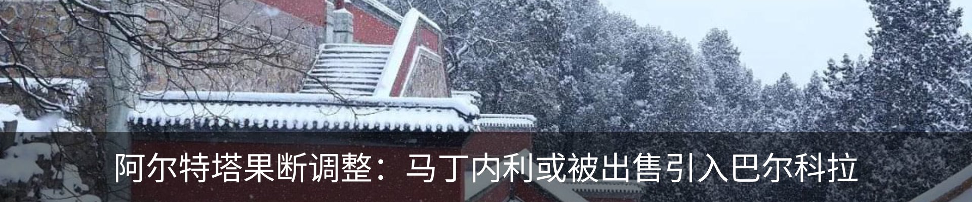 新闻动态