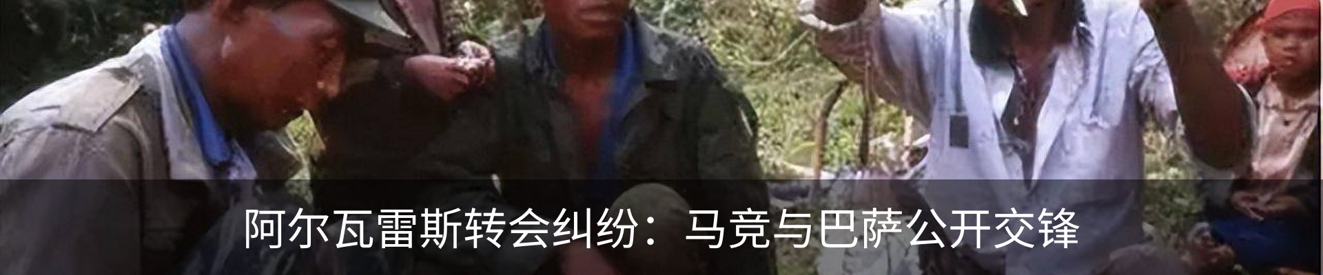 新闻动态