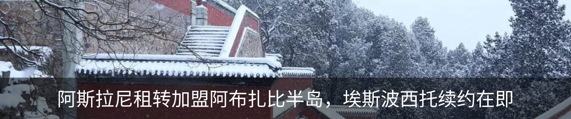 新闻动态