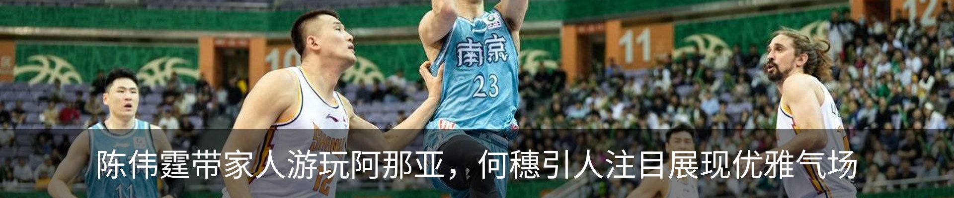 新闻动态