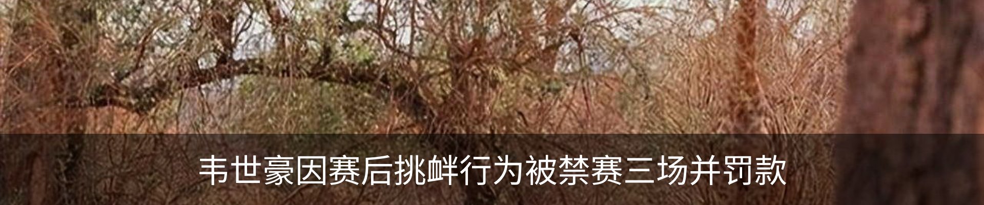 新闻动态