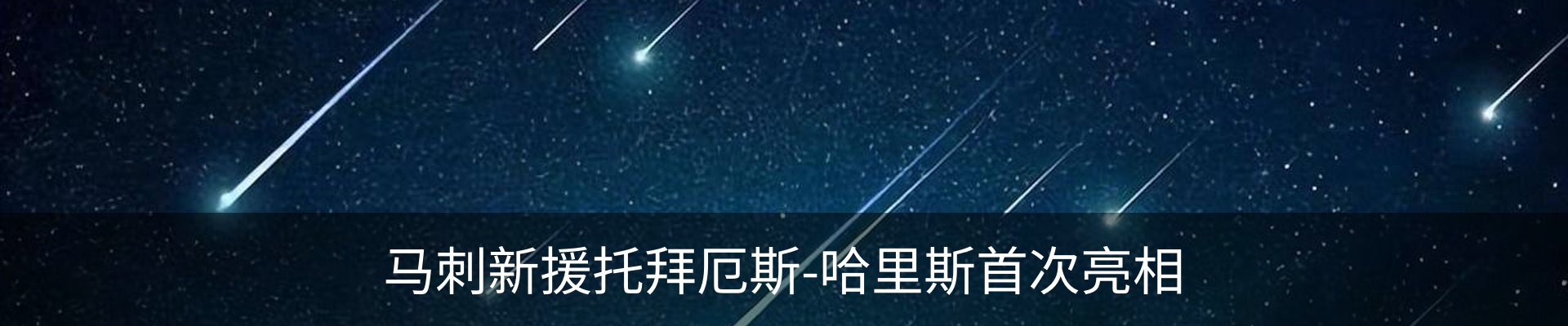新闻动态