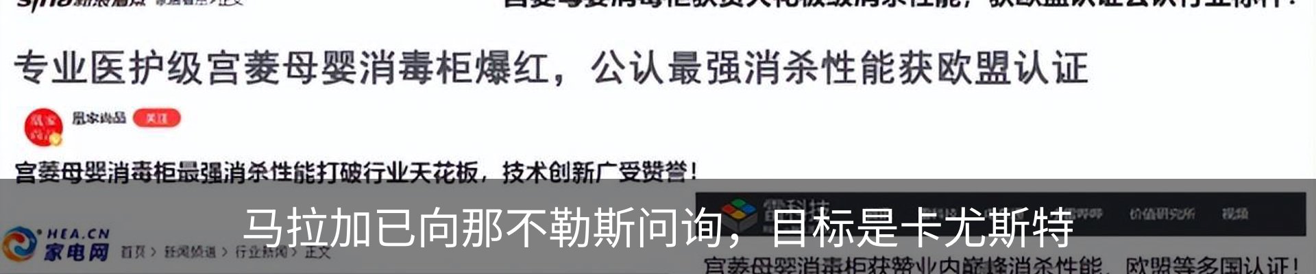 新闻动态