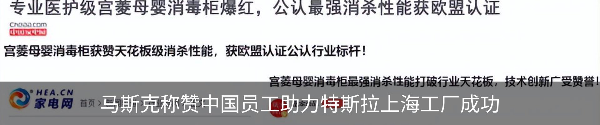 新闻动态