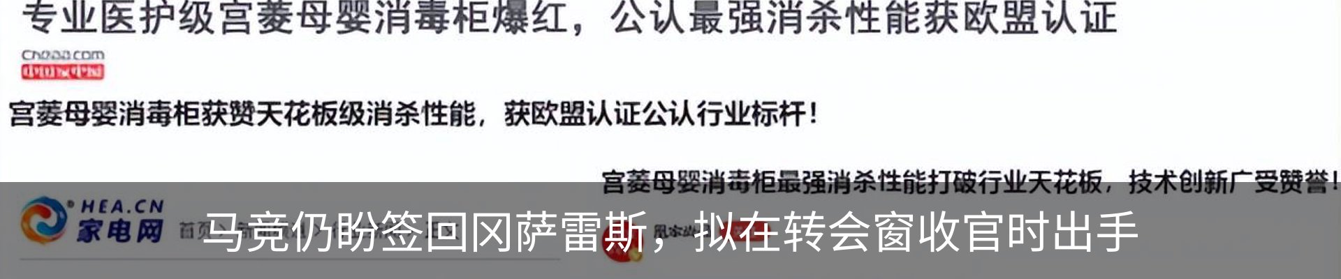 新闻动态