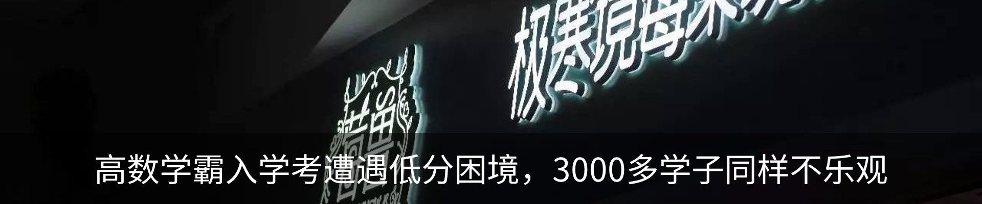 新闻动态