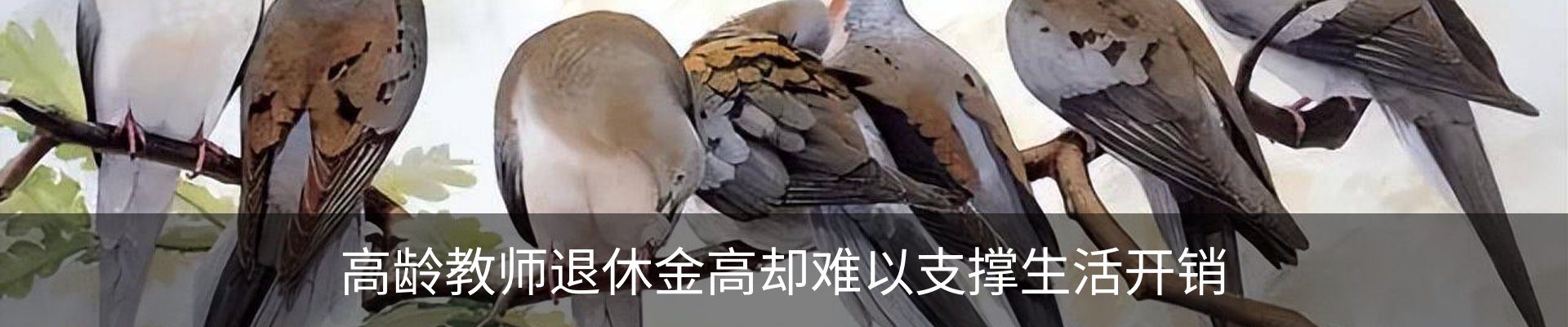 新闻动态