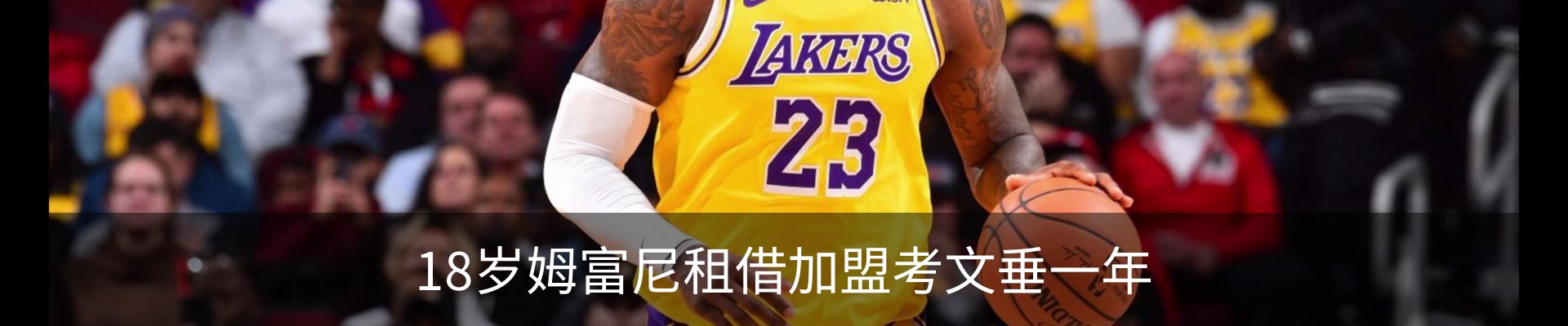 新闻动态