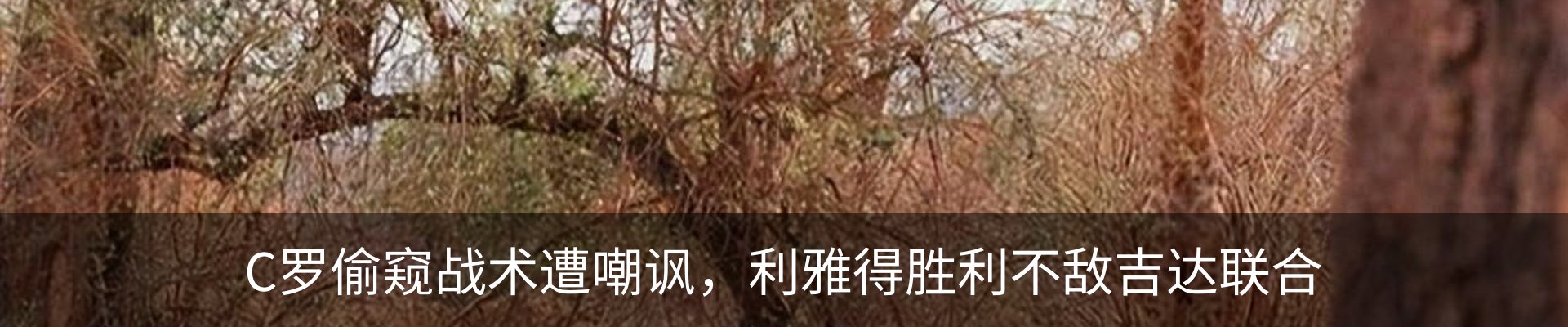 新闻动态