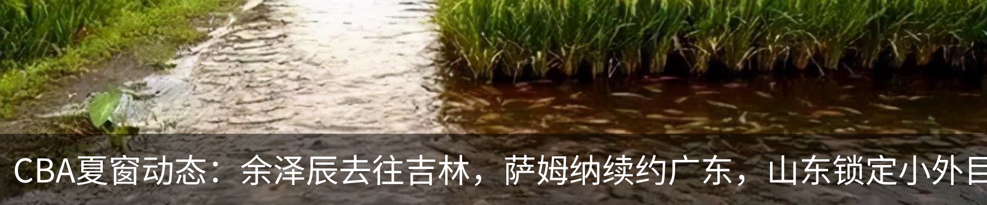 新闻动态